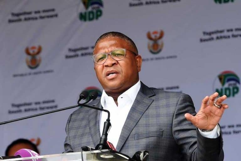 Valke se onbekwaamheid of politieke oorwegings vertraag vervolging van ANC-sekretaris-generaal Fikile Mbalula