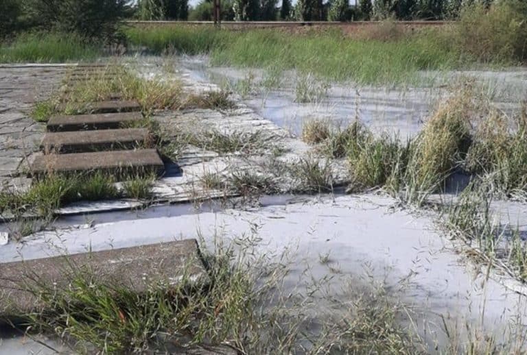 AfriForum plaas Moqhaka-munisipaliteit op terme ná riool in begraafplaas