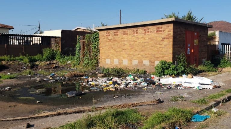 AfriForum’s Springs branch launches clean-up initiative