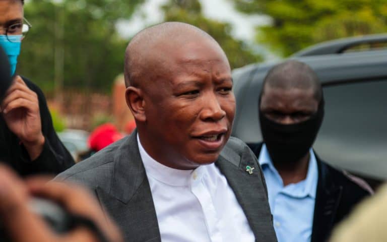 Malema, Ndlozi assault hearing to continue tomorrow