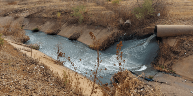 AfriForum: Vaal River in bigger trouble everyday