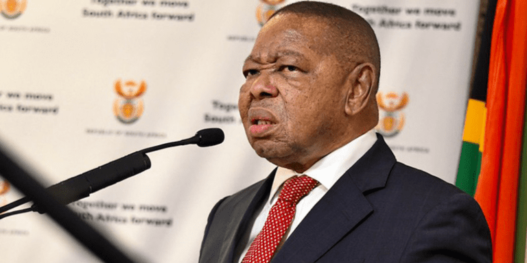 Doubt not about indigenous status of Afrikaans, but rather about the suitability of Nzimande