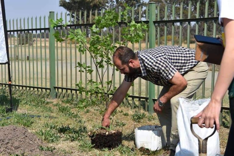 AfriForum se Heilbron-tak plant bome by Hoërskool Heilbron