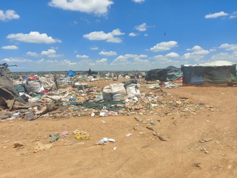 Landfill audit: Gauteng not up to par