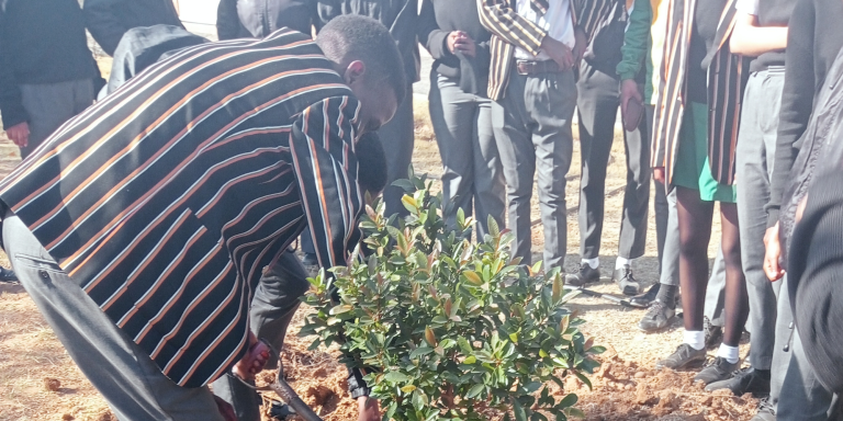 AfriForum-tak plant bome by Hoërskool Delportshoop