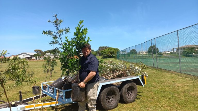Overstrand-tak plant dertig inheemse bome in Kleinmond