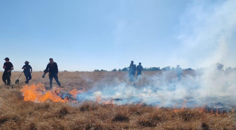 AfriForum-tak voorbereid met voorbrande by Krugersdorp-wildtuin