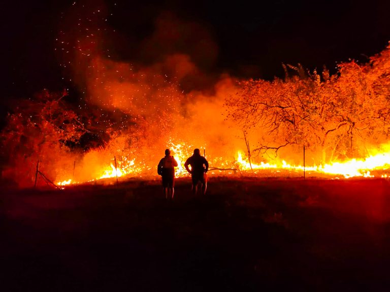 AfriForum-buurtwagte takel bestryding van verwoestende Laeveldse brande, meer as 1 000 hektaar reeds vernietig